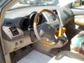 2004 Bamboo Pearl Lexus RX 330  photo #8