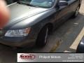 Willow Gray - Sonata GLS Photo No. 1