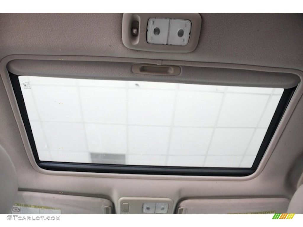 1999 Sienna XLE - Sable Pearl / Gray photo #17