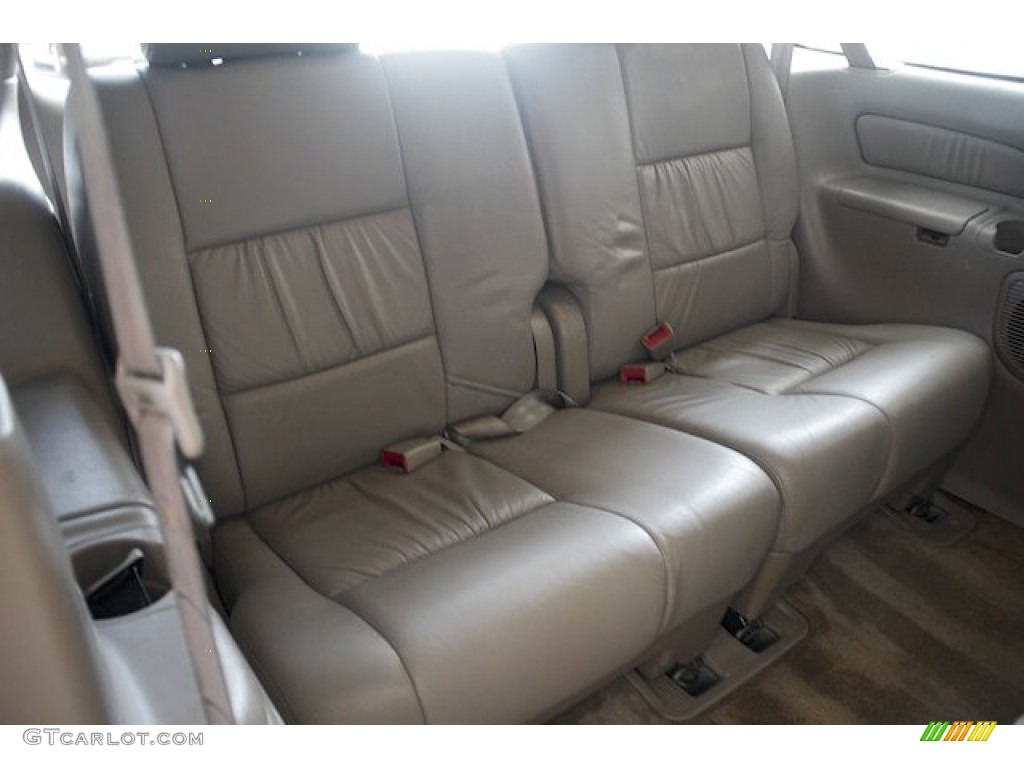 1999 Sienna XLE - Sable Pearl / Gray photo #22