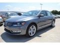 Platinum Gray Metallic - Passat TDI SEL Photo No. 1