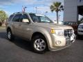 2011 Gold Leaf Metallic Ford Escape Limited 4WD  photo #27
