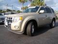 2011 Gold Leaf Metallic Ford Escape Limited 4WD  photo #28
