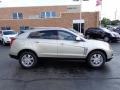 2013 Silver Coast Metallic Cadillac SRX Luxury FWD  photo #7