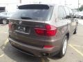 Sparkling Bronze Metallic - X5 xDrive 35i Photo No. 3