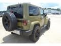 Commando Green - Wrangler Sahara 4x4 Photo No. 6