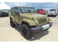 Commando Green - Wrangler Sahara 4x4 Photo No. 9