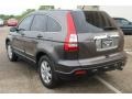 Borrego Beige Metallic - CR-V EX Photo No. 28