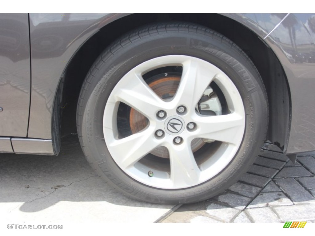 2010 TSX Sedan - Grigio Metallic / Ebony photo #32