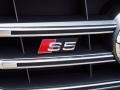 2014 Brilliant Black Audi S5 3.0T Premium Plus quattro Coupe  photo #8