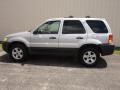 Silver Metallic 2005 Ford Escape XLT V6