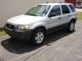 Silver Metallic - Escape XLT V6 Photo No. 2