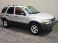 Silver Metallic - Escape XLT V6 Photo No. 6