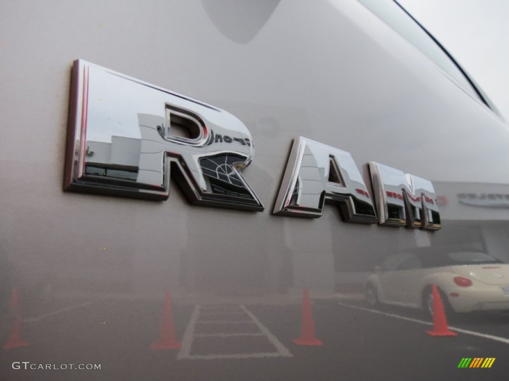 2010 Ram 1500 SLT Regular Cab - Bright Silver Metallic / Dark Slate/Medium Graystone photo #10