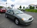 Spruce Green Metallic 2002 Ford Taurus SES