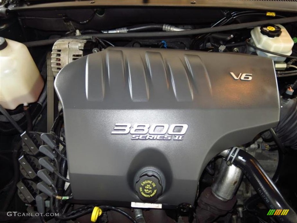 2002 LeSabre Custom - Dark Polo Green Metallic / Taupe photo #5