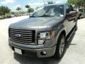 2011 Sterling Grey Metallic Ford F150 FX2 SuperCrew  photo #14