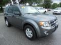 2009 Sterling Grey Metallic Ford Escape XLT  photo #11