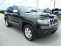 Natural Green Pearl - Grand Cherokee Laredo Photo No. 11