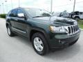 2011 Natural Green Pearl Jeep Grand Cherokee Laredo  photo #11