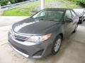 Magnetic Gray Metallic - Camry L Photo No. 5