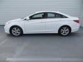 Shimmering White - Sonata GLS Photo No. 6