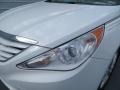 Shimmering White - Sonata GLS Photo No. 9