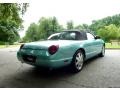 2002 Thunderbird Blue Ford Thunderbird Deluxe Roadster  photo #7
