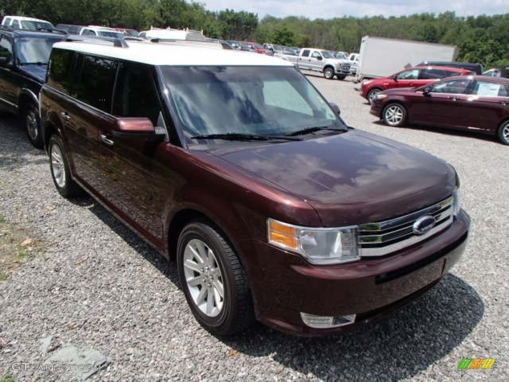2010 Flex SEL - Cinnamon Metallic / Medium Light Stone photo #1