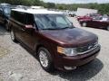 Cinnamon Metallic 2010 Ford Flex SEL