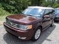 2010 Cinnamon Metallic Ford Flex SEL  photo #3