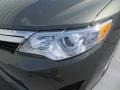 2013 Cypress Green Metallic Toyota Camry LE  photo #9