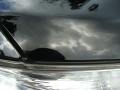 Black Onyx - GX 460 Photo No. 38