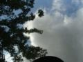 Black Onyx - GX 460 Photo No. 40