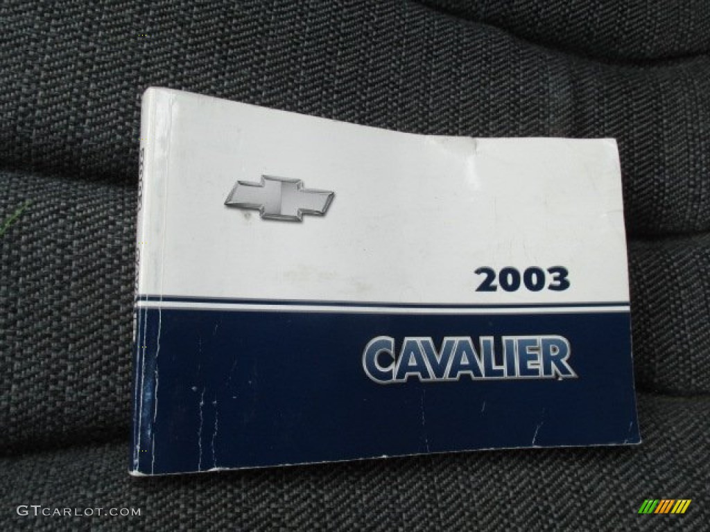 2003 Cavalier Sedan - Black / Graphite Gray photo #19