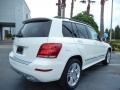 Polar White - GLK 350 Photo No. 3