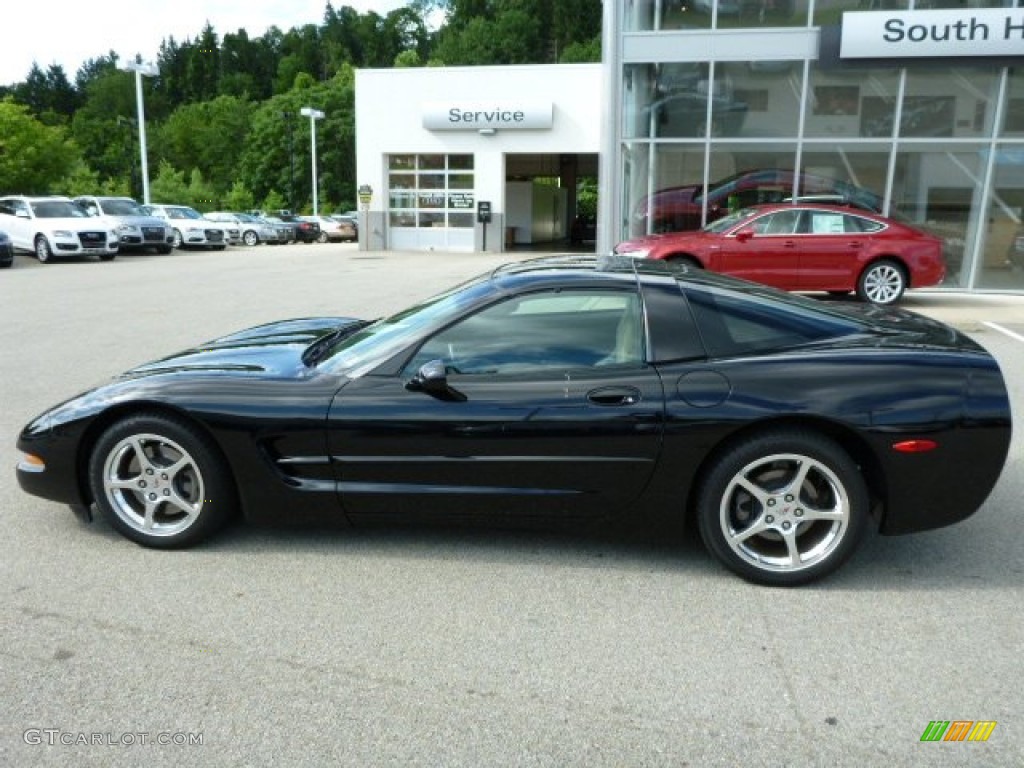 2004 Corvette Coupe - Black / Light Oak photo #2