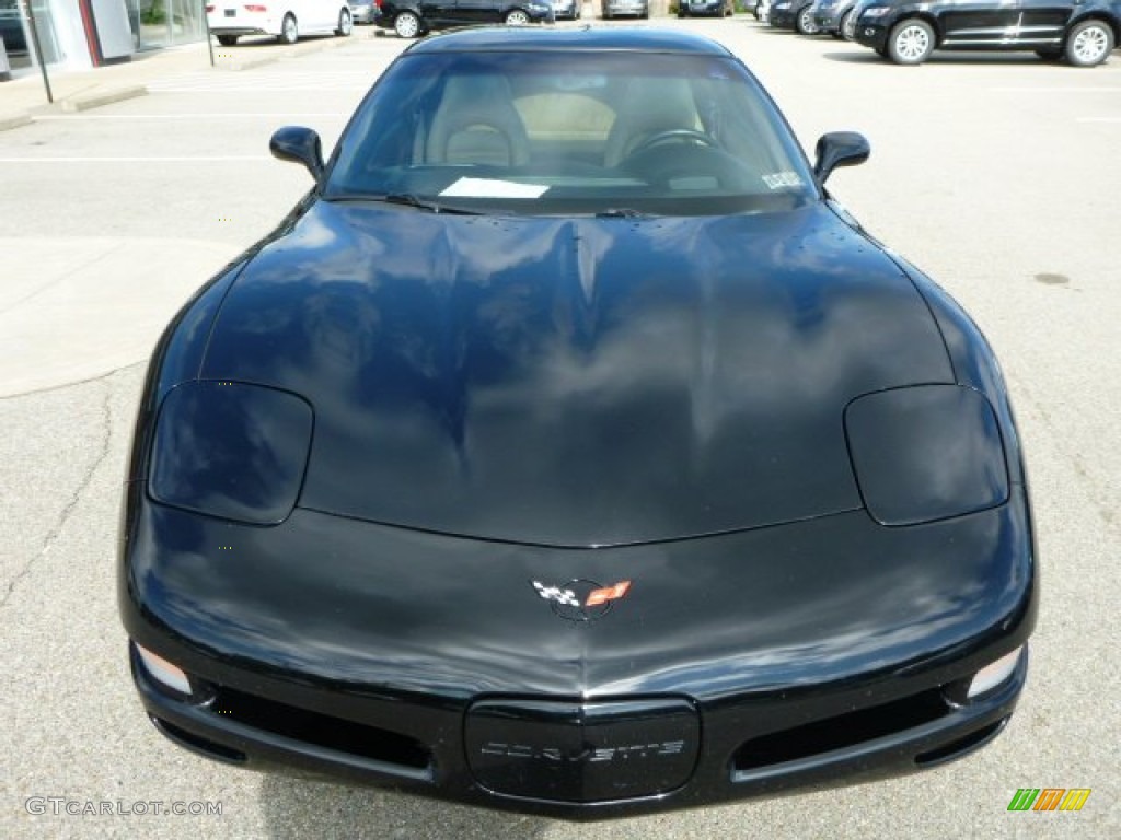 2004 Corvette Coupe - Black / Light Oak photo #8