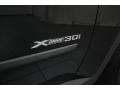 Black Sapphire Metallic - X5 xDrive30i Photo No. 42