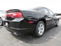 Pitch Black - Charger SE Photo No. 3