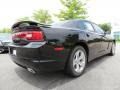 Pitch Black - Charger SE Photo No. 3