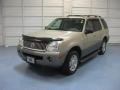 Light French Silk Metallic - Mountaineer V8 AWD Photo No. 3