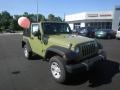 2013 Commando Green Jeep Wrangler Sport 4x4 #83775045