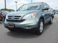 Opal Sage Metallic 2010 Honda CR-V EX