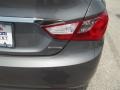 Harbor Gray Metallic - Sonata Limited Photo No. 10