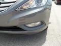 Harbor Gray Metallic - Sonata Limited Photo No. 19