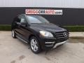Black - ML 350 4Matic Photo No. 1