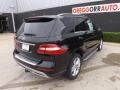 Black - ML 350 4Matic Photo No. 3