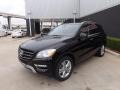 Black - ML 350 4Matic Photo No. 2
