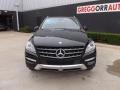 Black - ML 350 4Matic Photo No. 7